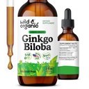 야생 & 유기 은행나무 Biloba Tincture - Ginkgo 잎 보충과 뇌 & 초점 지원 - 채식주의자, 설탕 & 알콜 자유로운 초본 추출물 탄약 - 2개 fl oz