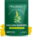 Lung Cleanse를 위한 Mullein Gummies, Lung Cleanse 지원을 위한 자연적인 Mullein, Chlorophyll (60 Chews)를 가진 Mullein 초본 보충교재
