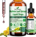 Lungs를 위한 Mullein 하락, Lung Detox w를 위한 유기 Mullein 잎 추출물. Chlorophyll Elderberry Oregano 기름 Resveratrol Mullein Tincture 알콜 자유로운, 본래 풍미, 2 f Fl/Oz