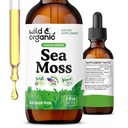 Wild & Organic Sea Moss Liquid Drops - 면역 지원 - 아일랜드어 Sea Moss 및 Bladderwrack Tincture - 다민족 Chondrus Crispus Supplement - Vegan, Sugar & Alcohol-Free - 2 fl oz