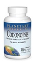 행성 초본 Codonopsis 정제, 750 mg의 60 조사