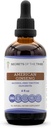 Tribe American Ginseng Tincture Alcohol-Free Liquid Extract의 비밀, 농장 재배 미국 인삼 (Panax Quinquefolius) 건조 뿌리 (4 FL OZ)