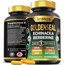 Goldenseal 뿌리 보충교재 - 10in1 공식 - Echinacea, Berberine, Turmeric, Cayenne Pepper, Ginger, Apple Pectin, Neem 및 더 - 소화 건강 지원 - 120의 캡슐에 넣으십시오