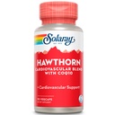 SOLARAY 호손 특수 공식, 150mg, 90 조사