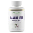 파라다이스 허브, 바바 리프, 12 : 1 농축 추출물, 250 mg, 비건, 글루텐 프리, 비 GMO, 180 캡슐
