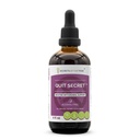 고요한 비밀 알콜 자유로운 추출물, Licorice, Lungwort, Numeg, St. John's Wort. 글리세리티 텍쳐 (4 fl oz)