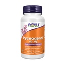 지금 식품 보충제, Pycnogenol 60 mg (프랑스 Maritime Pine의 Proanthocyanidins의 독특한 결합) Acerola 및 Rutin 분말, 50 Veg 캡슐