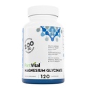 PlantVital 마그네슘 글리세라이드 200mg 120 캡슐 - 높은 흡수, Non-GMO, Vegan, Gluten-Free - 지원 정상 수면, 근육 & Nerve 기능, 정상 심장 & 뼈 건강, 체감 및 휴식