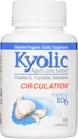 Kyolic Aged 마늘 추출물 건강한 심장 공식 106 - 100 캡슐