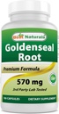 제일 자연적인 황금 뿌리 570 mg (Non-GMO) 100개의 캡슐