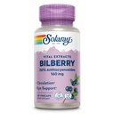 SOLARAY Bilberry 추출물 160 mg의 눈 건강 & 순환 지원, 36% Anthocyanosides 플러스 블루 베리, Vegan, 30 VegCaps