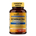 SANDHUHERBALS Sandhu 초본 Echinacea 황금 1000 Mg 120의 캡슐 | 면역 체계 지원 호흡 응답 Inflammatory 응답 보충교재