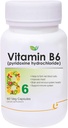 펍 Nutraceuticals 비타민 B6 (Pyridoxine 염산염) 보충 | 60 Veg 캡슐