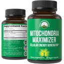CoQ10와 활동적인 PQQQ를 가진 Mitochondria Maximizer. MCT 기름을 가진 제일 Mitochondrial 지원 보충교재. 청결한, 집중된 에너지 60 채식주의자 캡슐을 위한 자연적인 세포질 발전기