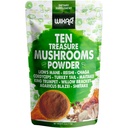 Wixar 버섯 분말 - 커피 및 스무디를위한 Ten Treasure Mushroom 추출물 보충 혼합 - 사자 Mane, 터키 꼬리, Reishi, Chaga, Shiitake, Cordyceps, Complex - 4oz 버섯 보충
