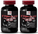 Natural Stamina Boost - TRIBULUS TERRESTRIS Extract - 강도 및 활동 지원, 에너지 최적화 포뮬러, 플랜트 기반 전원, 바디 성능 혼합, 활성 복구, 에너지 흐름 2Bot 180Tabs