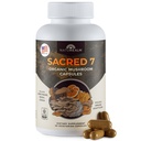 Naturealm Sacred 7 유기 버섯 추출물 캡슐 - 사자 Mane, Reishi, Chaga - USDA 유기 면역 지원 및 초점이있는 프리미엄 7 버섯 보충 - 90 채식 캡슐