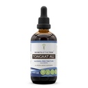 Tribe Tongkat Ali 알코올 무료 액체 추출물의 비밀, Wildcrafted Tongkat Ali (Eurycoma Longifolia) 건조 뿌리 (4 FL OZ)