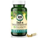 Silver Lining Herbs 25 Canine INF-X - 건강한 소화 수준을 유지 - 정상 해독 과정을위한 자연 지원 - 개를위한 초본 건강 보충 - 90 캡슐