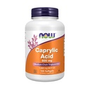 지금 음식 보충교재, Caprylic 산성 600 mg, MCT (중간 사슬 Triglycerides), 100 Softgels