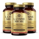Solgar L-Lysine 500 mg - 100 야채 캡슐, 3 팩 - 피부 및 조직 지원 - 비 GMO, Vegan, Kosher, 글루텐 무료 - 300 총 서빙