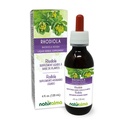 Naturalma Rhodiola rosea (Sedum roseum) Root Alcohol-Free Tincture - 4 fl oz Liquid Extract in Drops - 초본 보충 - Vegan