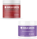 Amla Powder & Green Tea Superfood Supplement, 산화 방지제 지원, Hibiscus (90 인분) &Elderberry (30 인분), 유기, 비건