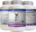 개 소화 효소 분말 - 개를위한 PROBIOTICS - 건강한 구트 - 가스 설사 및 나쁜 호흡 - 소화 부스트 - 개를위한 probiotics - 1 병 (60 치료)