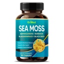 Ashwagandha, Burdock Bladderwrack, Immune System, Skin, Digestion & Energy- Made in the USA (150 개)