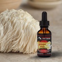 잃어버린 제국 허브 버섯 두뇌 Spagyric Tincture | 리오의 Mane, Cordyceps, Reishi, Oyster Mushrooms for Cognition (1 fl oz)