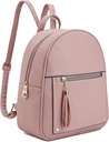 Montana West Girls Backpack Purse Gifts for Kids Anti Theft Backpack with Secured 지퍼 & 타셀