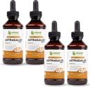 Maxx 허브 Astragalus 뿌리 추출물 - 최대 힘 액체 탄미익은 캡슐 또는 분말 보다는 더 나은, 면역 지원과 정신 Clarity - 4개의 병, 4개의 Oz 각 (240의 서빙)를 위해, 흡수합니다