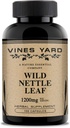 Wild Nettle Leaf Capsules | 건강한 유체 밸런스 및 유린트랙 문제 지원 | 100 % 천연 유기농 초본 보충 1200mg | 100 팩