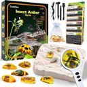 GobiDex Amber Dig Kit-Artificial Insect Resin, Excavate 6 Insects Specimens, STEM Geographic Educational Bugs Toys, Fun Bugs Party Favors, Kids Age 6-8 8-12를위한 과학 키트
