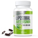 최대 흡수를 위한 900 mg Liposomal Artemisinin, Quercetin Phytosome 200 mg, 60 Softgels - 2 달 공급을 가진 달콤한 Wormwood 추출물 (Artemisia Annua)