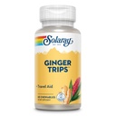SOLARAY Ginger Trip Aid | 루트 추출 | 건강한 소화 지원 w/Honey, Stevia & Molasses | 60 킬러블