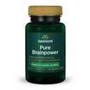Swanson Pure Brainpower Brain Health Cognitive Memory Focus Support Brain-Derived Neurotrophic Factor (BDNF) 초본 보충 (Ginkgo Biloba, Bacopa Monnieri) 60 Veggie 캡슐 (Veg Cap) Vegan