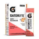 Gatorlyte 분말 수박, 16.9oz (6의 포장)