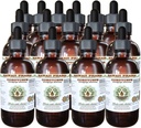 Cordyceps 알콜 자유로운 액체 추출물, Cordyceps (Cordyceps Sinensis) 버섯 Glycerite 하와이 Pharm 자연적인 초본 보충교재 15x4 oz