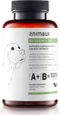 animaux - 개, All-Natural 비타민, 건강한 면역 체계, 활력, 건강한 피부, 빛나는 외투, 익지않는 먹이, 강아지, 알레르기를 가진 개, 60 Chewable 정제, 60 일 공급을 위한 영양소 365