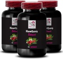 자연에서 뿌리 - HAWTHORN EXTRACT - Berry Boost, 고대 잎 추출물, Flora의 Berry Magic, Botanical Wild Berry, Traditional Leaf, Harvest Blend, Leaf Power Tradition 3 병 180 캡슐