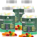 BIO VITALICA Mushroom Gummies – 사자 Mane, Reishi, Chaga, Cordyceps & More – Fruity Vegan Gummies – Non-GMO, 글루텐 프리, 플랜트 기반 – 4 팩
