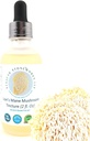 유기농 라이온스 Mane 버섯 알코올 Tincture – 홀리스틱 건강 – 2 oz Double Extracted, Triple-Micron Filtered Providing Superior Clarity and 순수성.