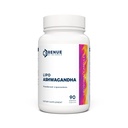 Renue By Science Ashwagandha | 고 강도 Liposomal Ashwagandha 보조제 | 90 Ashwaganda 캡슐 - 서빙 당 200mg Ashwagandha | Non-GMO | 미국 제3자 테스트