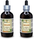 Psyllium (Plantago Ovata) Tincture, 유기 건조 씨앗 액체 추출 (브랜드 이름: HerbalTerra, Proudly Made in USA) 2x4 fl.oz (2x120 ml)