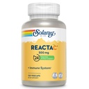500mg 비타민 C, 200mg Bioflavonoid Concentrate, 면역 체계 방위 비타민, 특허가 주어진 24 시간 면역 부스터 지원 보충교재, 채식주의자, 120의 캡슐, 120의 서빙을 가진 SOLARAY Reacta-C.