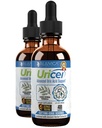 Uricel - 고급 Uric 산 지원 및 세척 보충 - 더 나은 흡수를위한 액체 배달 - Tart Cherry, Chanca Piedra, Celery Seed, Turmeric & More!