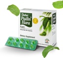 Dabur Pudin Hara Pearls - 남자와 여자를 위한 매일 이식적인 배려 보충교재는, 소화와 Gut 건강, 400의 조사 (40의 포장)를 위한 부유물, 산성도, Flatulence 및 Indigestion의 Abate 증상을 돕습니다