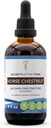 Tribe Horse Chestnut Tincture 알코올 무료 액체 추출, 말 호두 (Aesculus hippocastanum) 건조 견과 (4 FL OZ)의 비밀