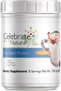 Celebrate Vitamins Vegan Protein Powder - 모든 천연 식물 기반 단백질 Shake Mix - 20g Pea Protein & 3g Fiber, Post-Bariatric Surgery - Vanilla Chai (15 서빙)